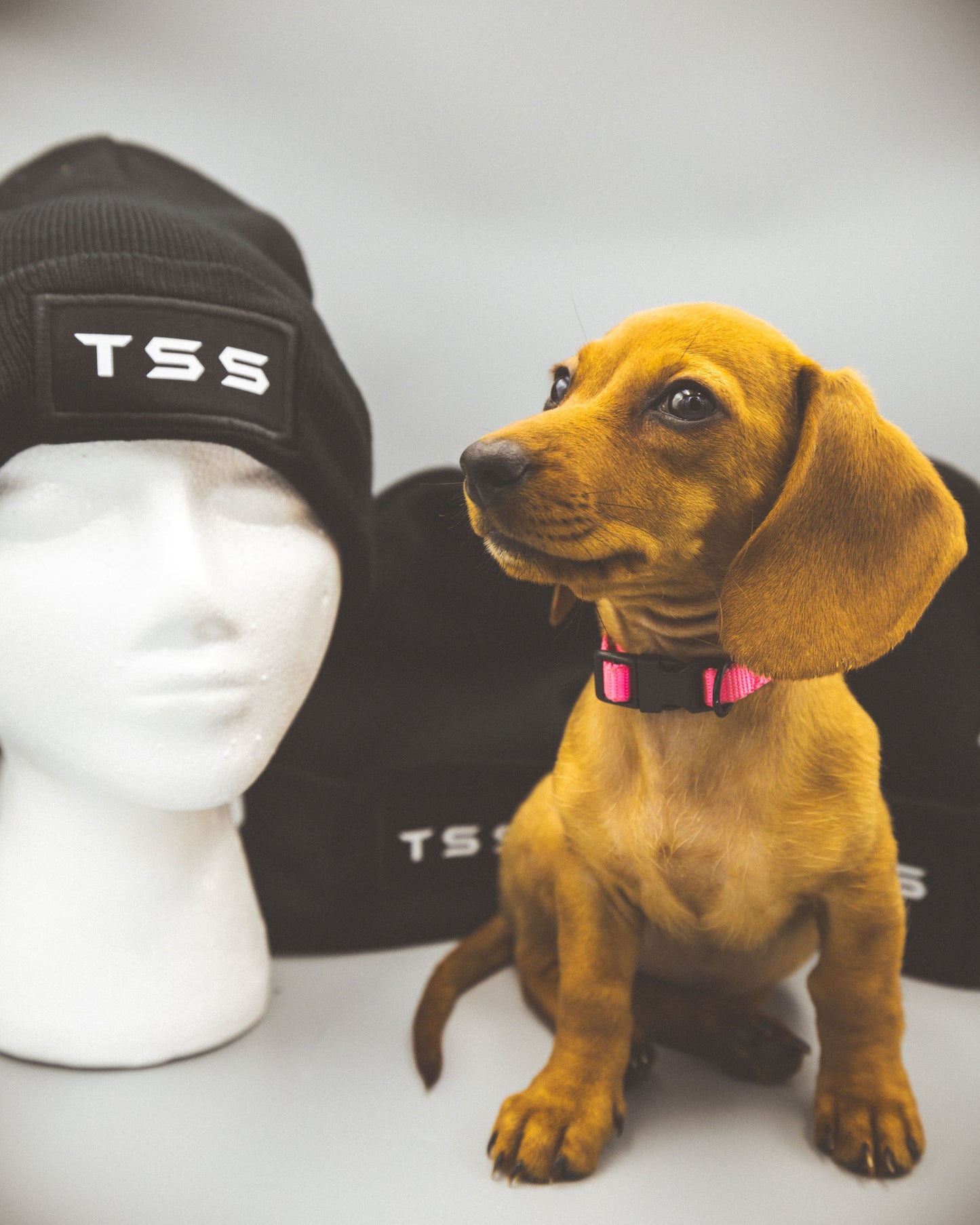 Beanies