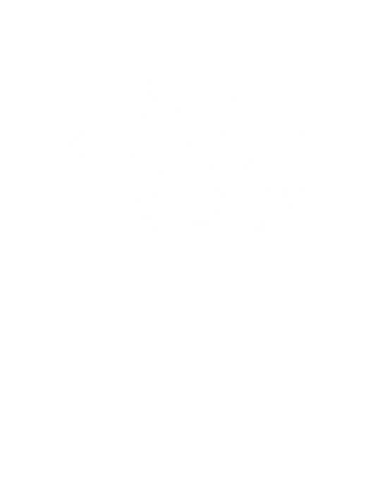 Soar like eagles. (Isaiah 40:31) T-shirt