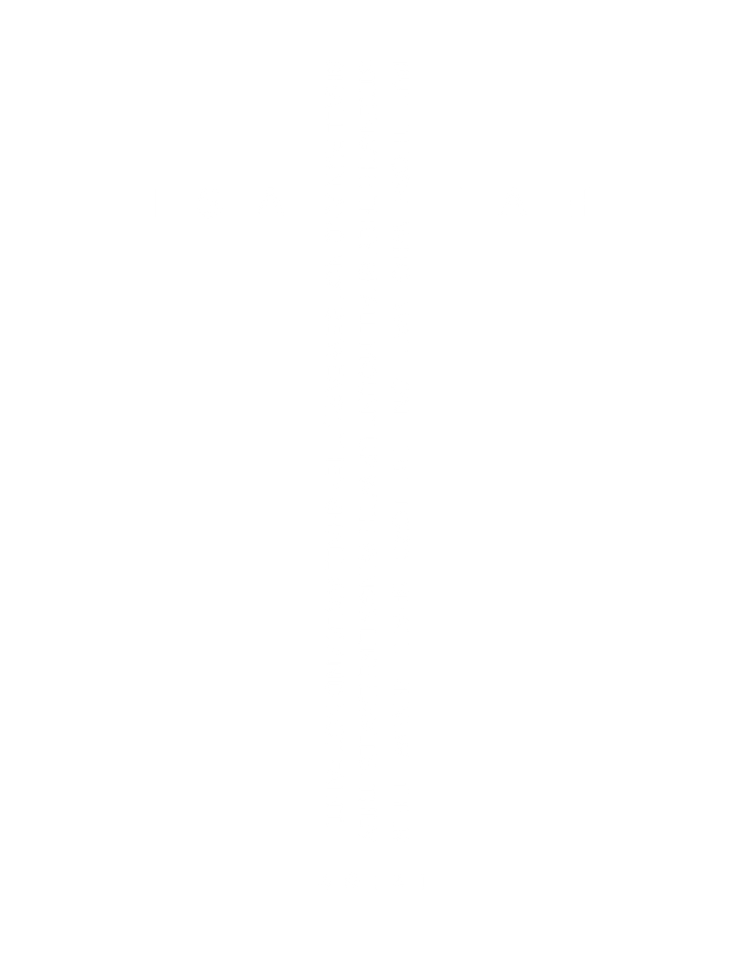 Soar like eagles. (Isaiah 40:31) T-shirt